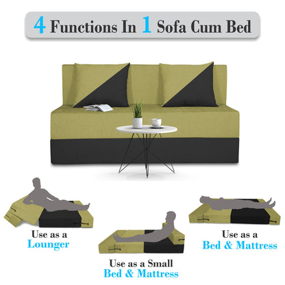 Adorn India Easy Desmond 2 Seater Sofa Cum Bed 4 x 6 (Green & Black) (1 Year Warranty)