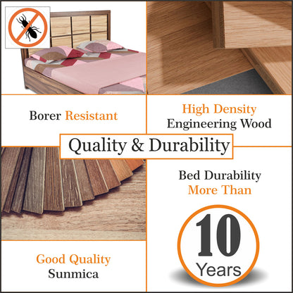 Adorn India Engineered Box Spring Queen Bed with Storage-(Matte_Multicolor)
