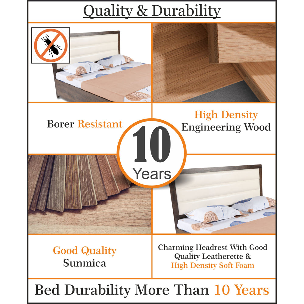 Adorn India Hypnos Engineered Box Spring Storage with Back Cushion Queen Size Bed (Matte Finish; Multi; Without Mattress)